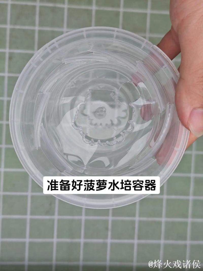 如何科学种植菠萝:详细视频教学 如何科学种植菠萝:详细视频教学